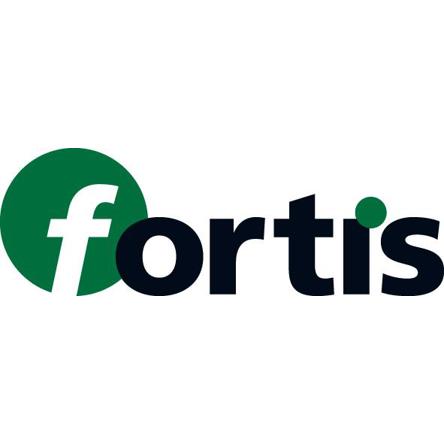 FORTIS Austreiber DIN 317 MK 4 - Hochwertiger Austreiber für präzise Anwendungen